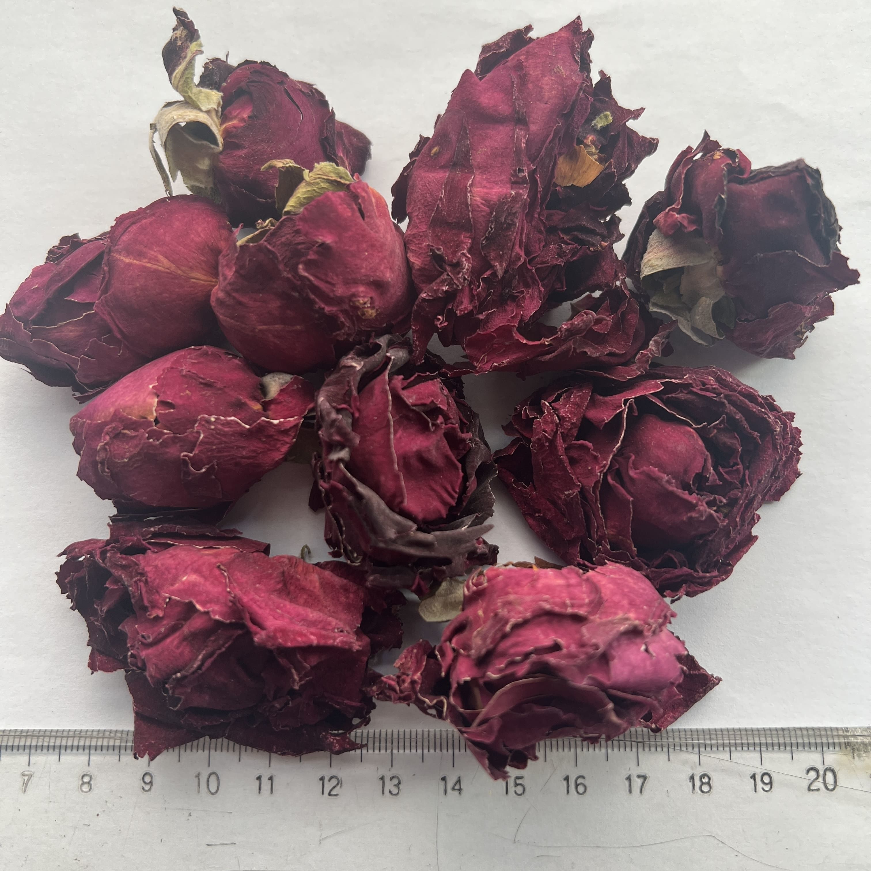 Mo Hong Rose