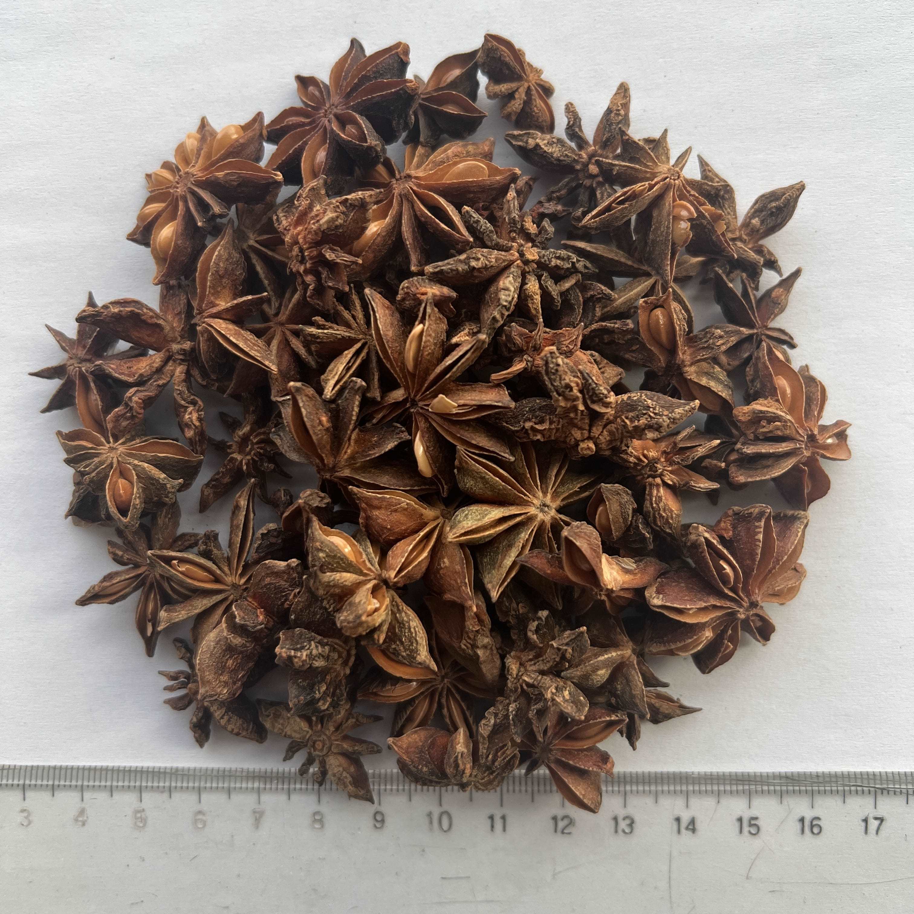 Star Anise