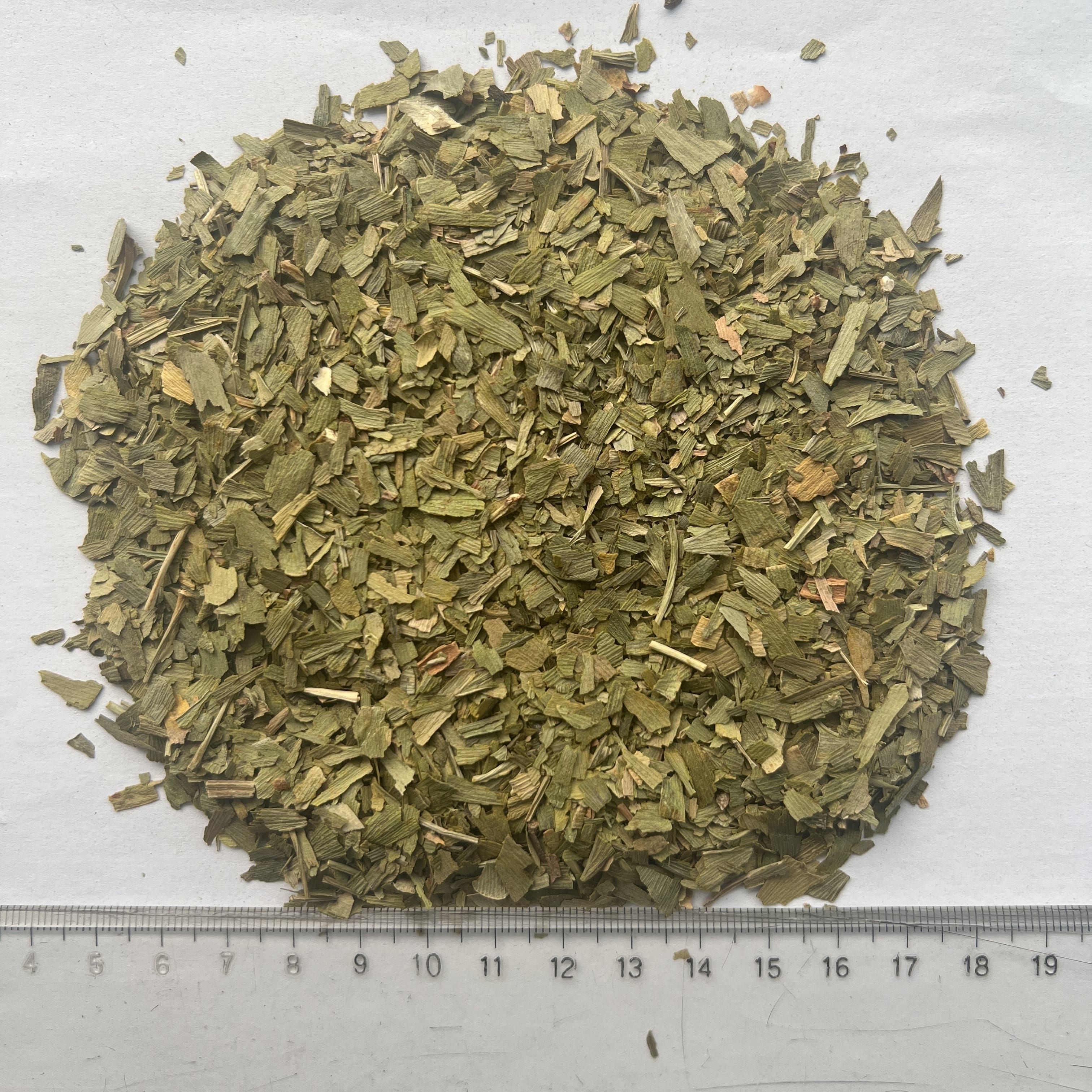 Ginkgo Biloba Leaf