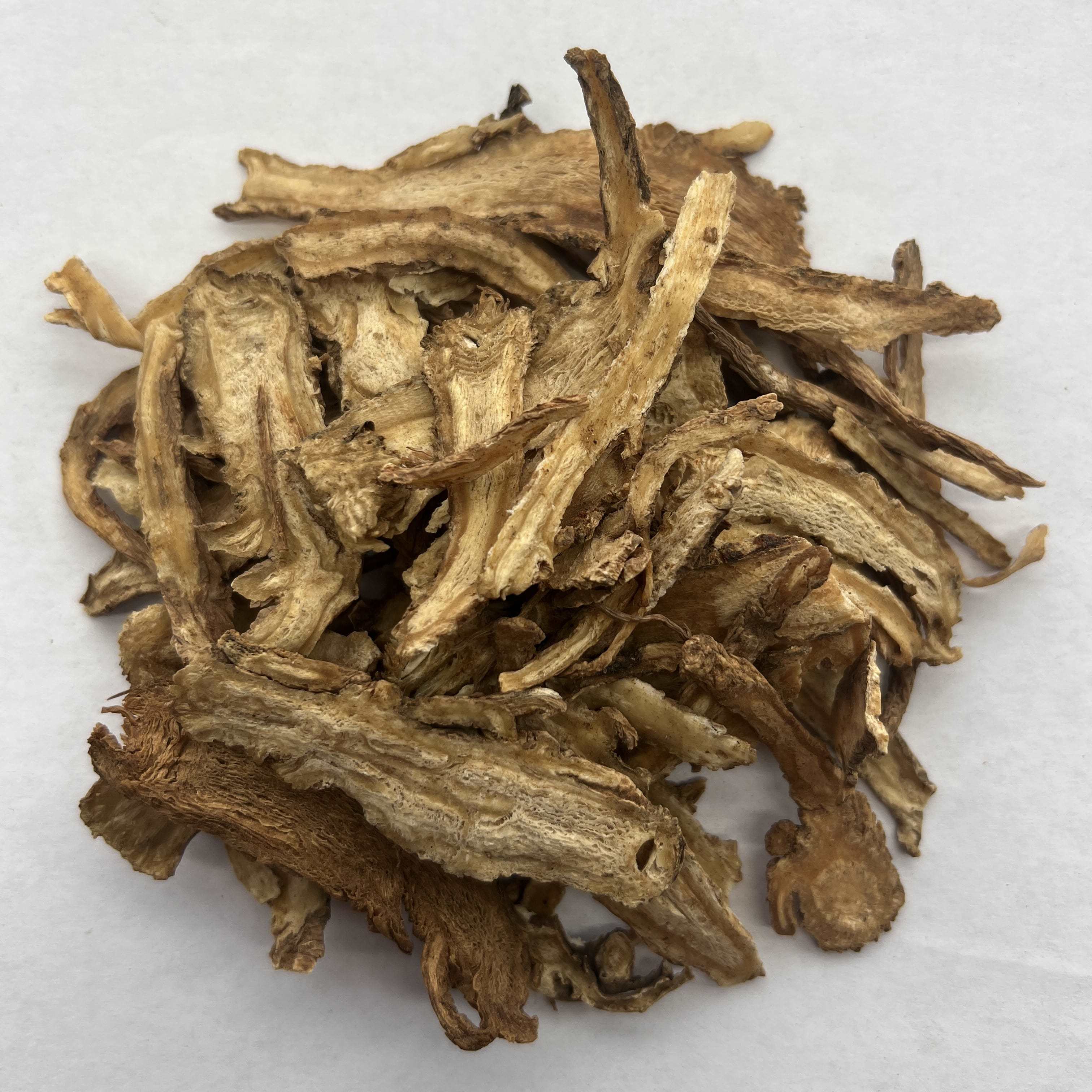 Angelica Sinensis