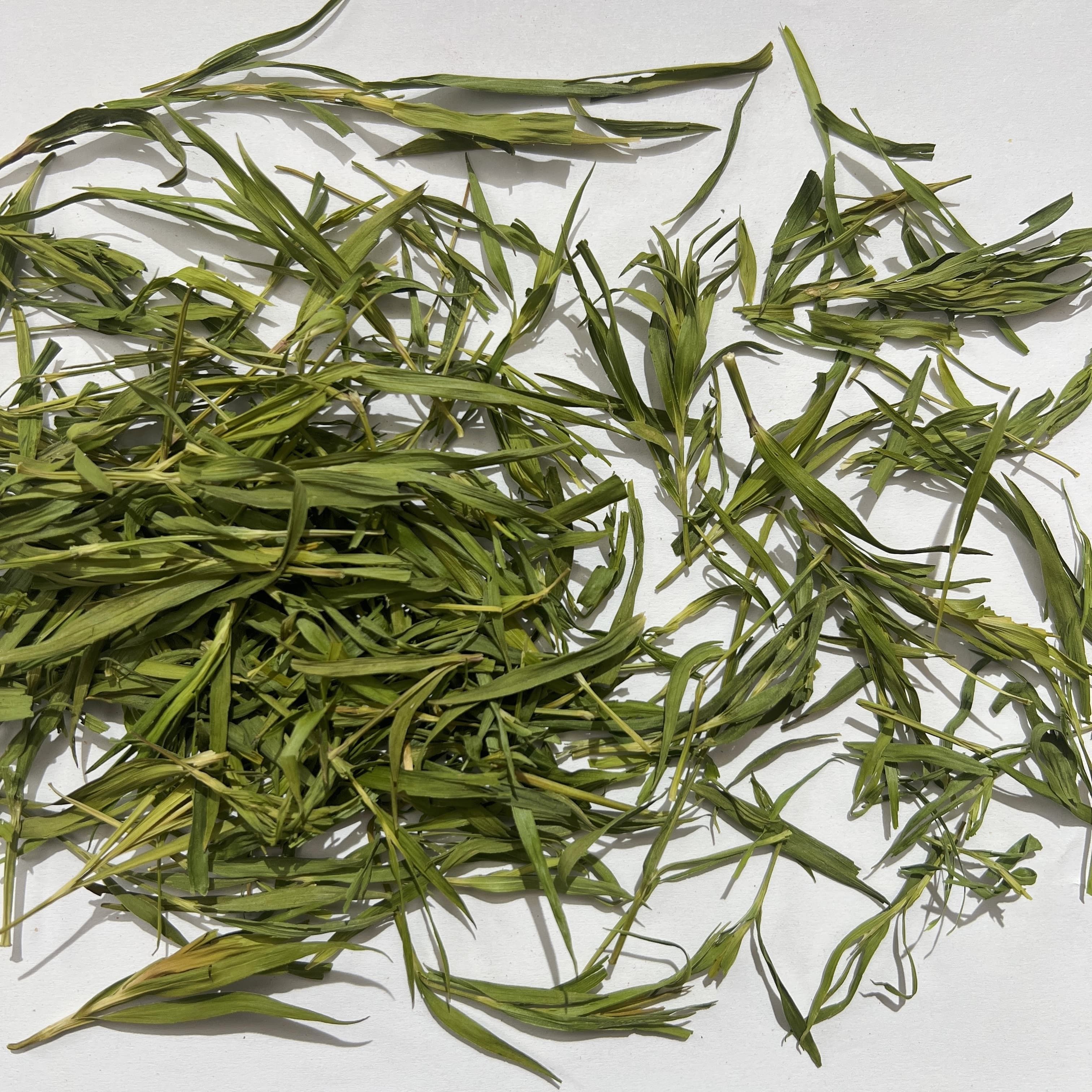 Bamboo Leaf
