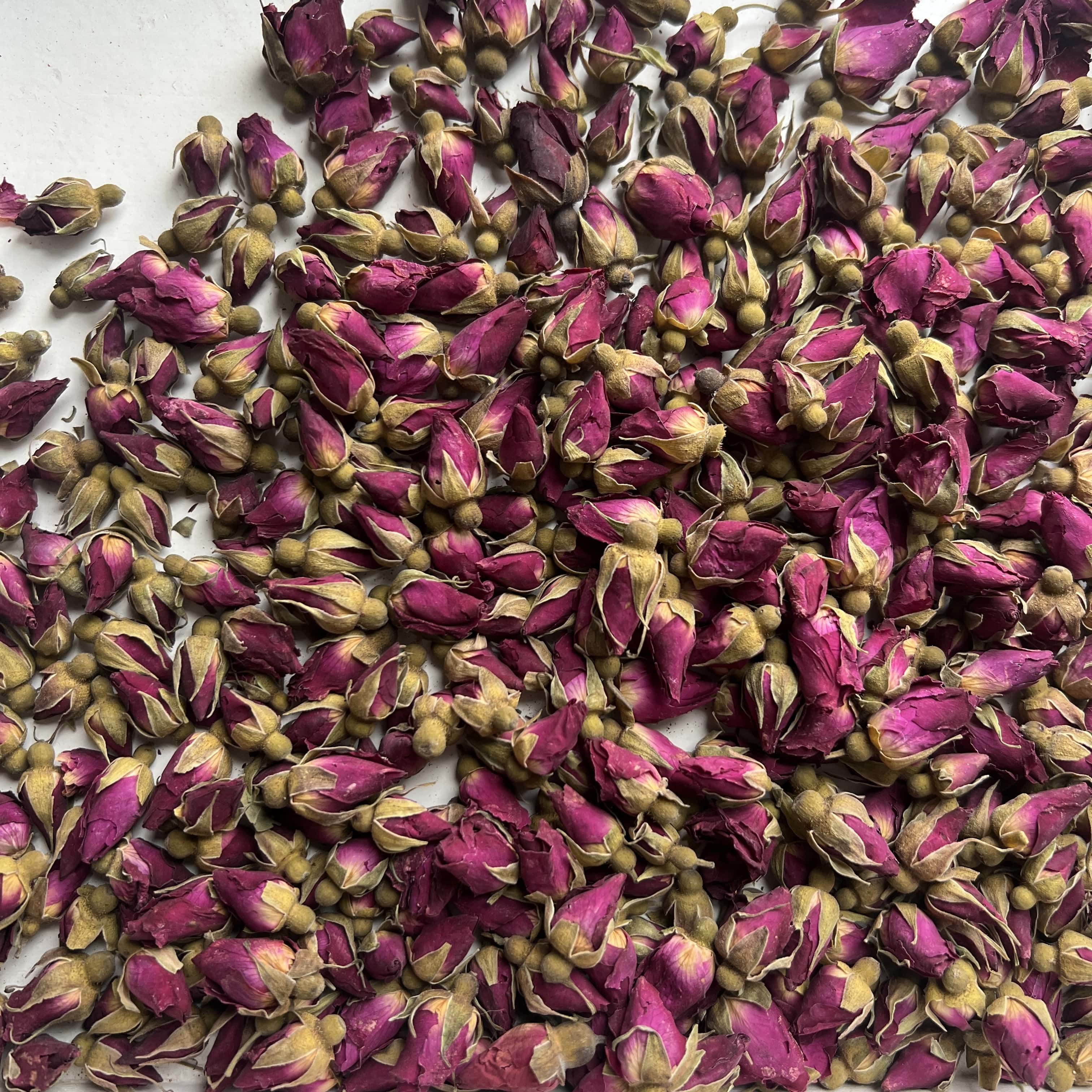 Lanzhou Rose