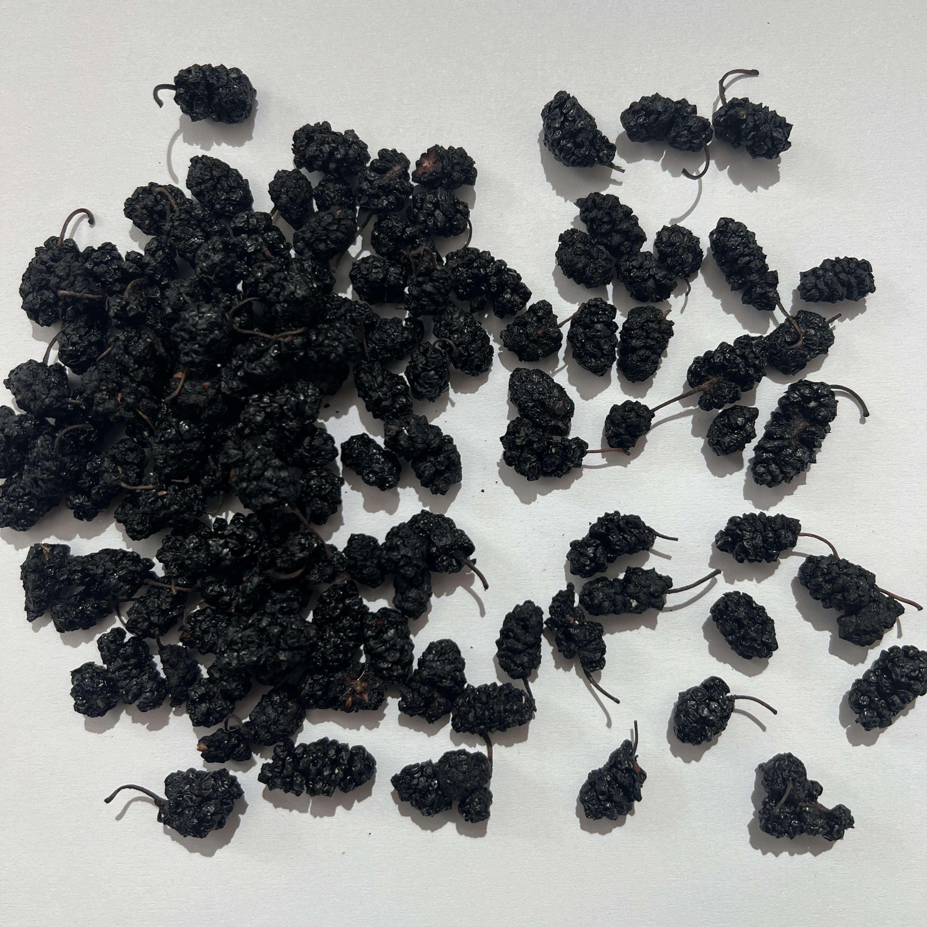 Mulberries