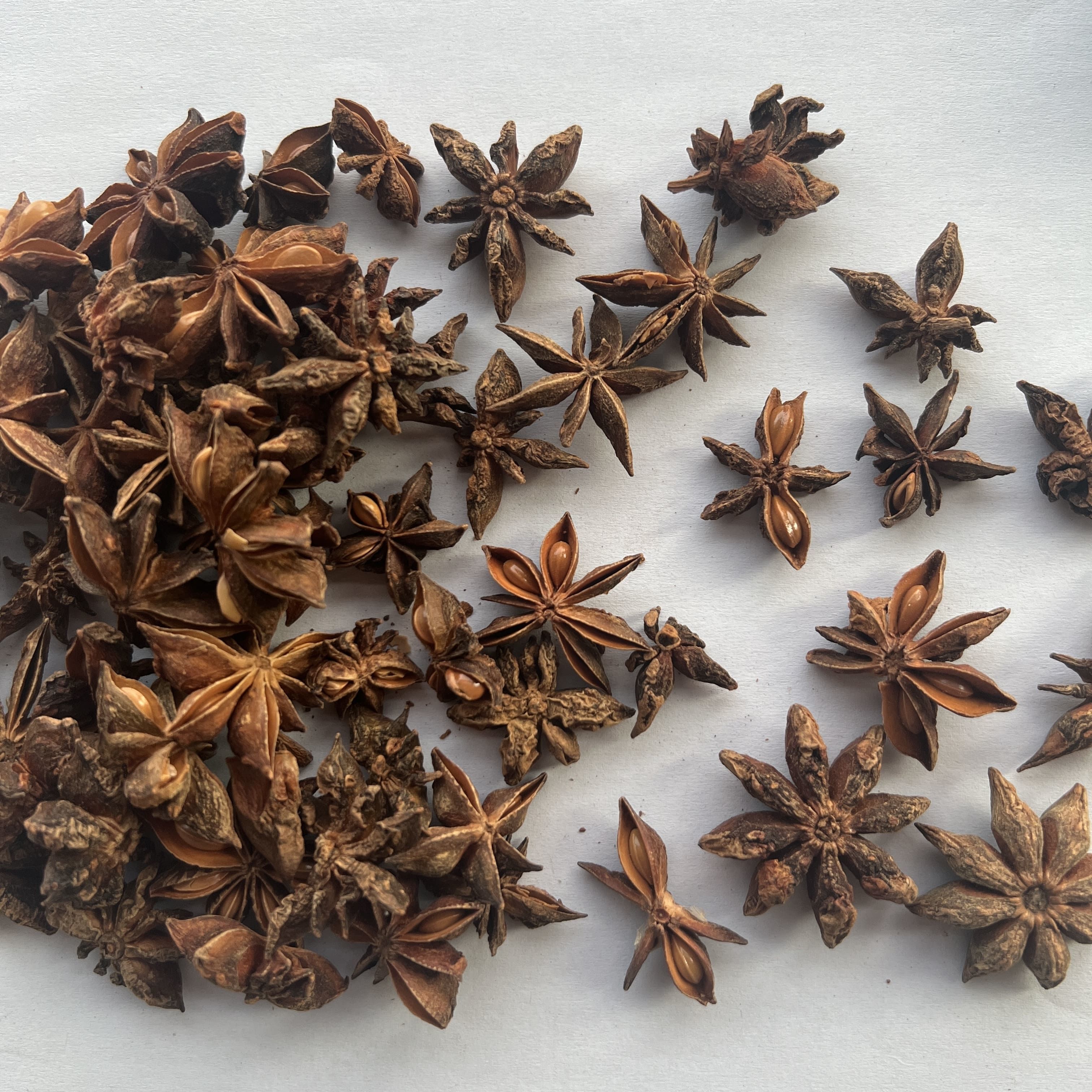 Star Anise