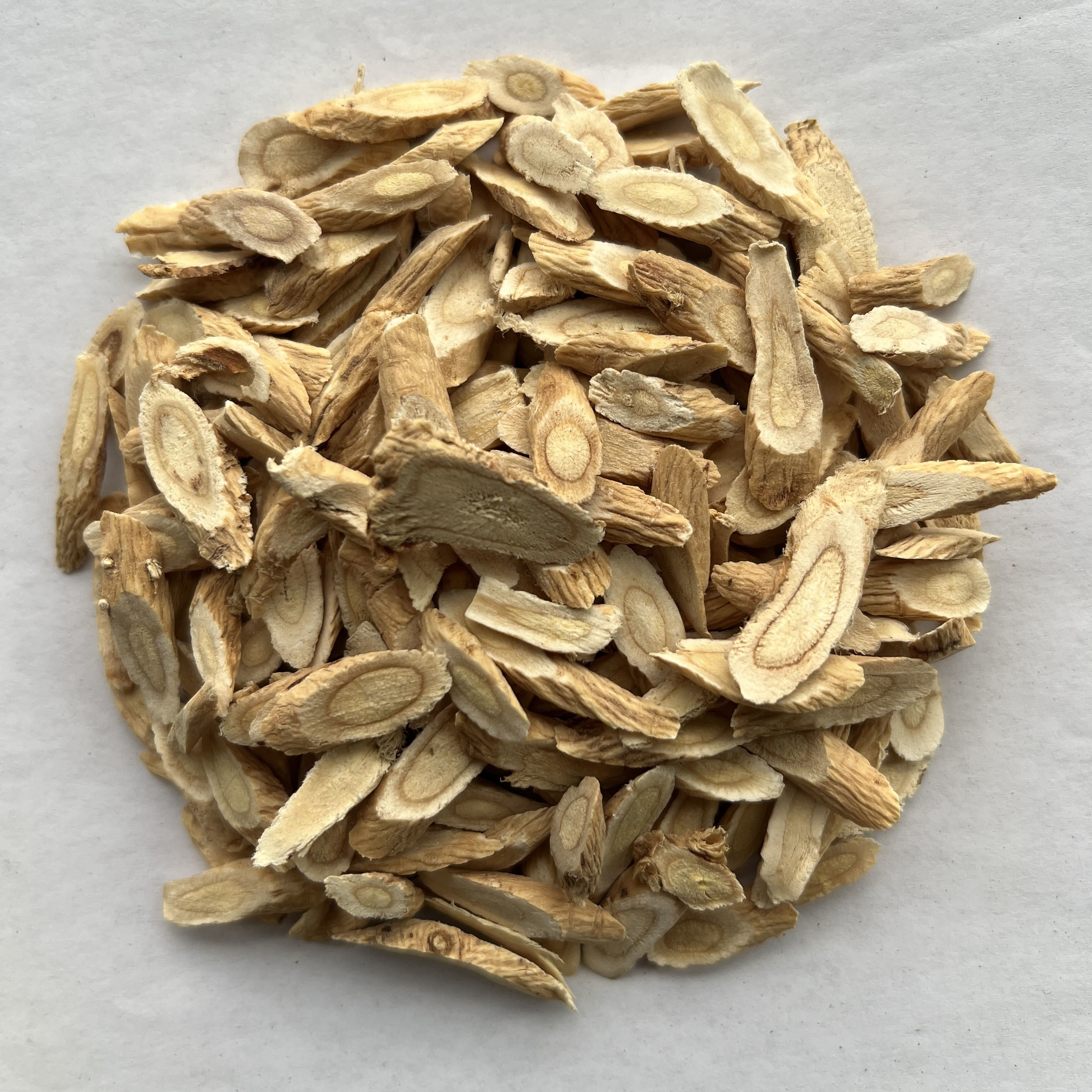 Astragalus