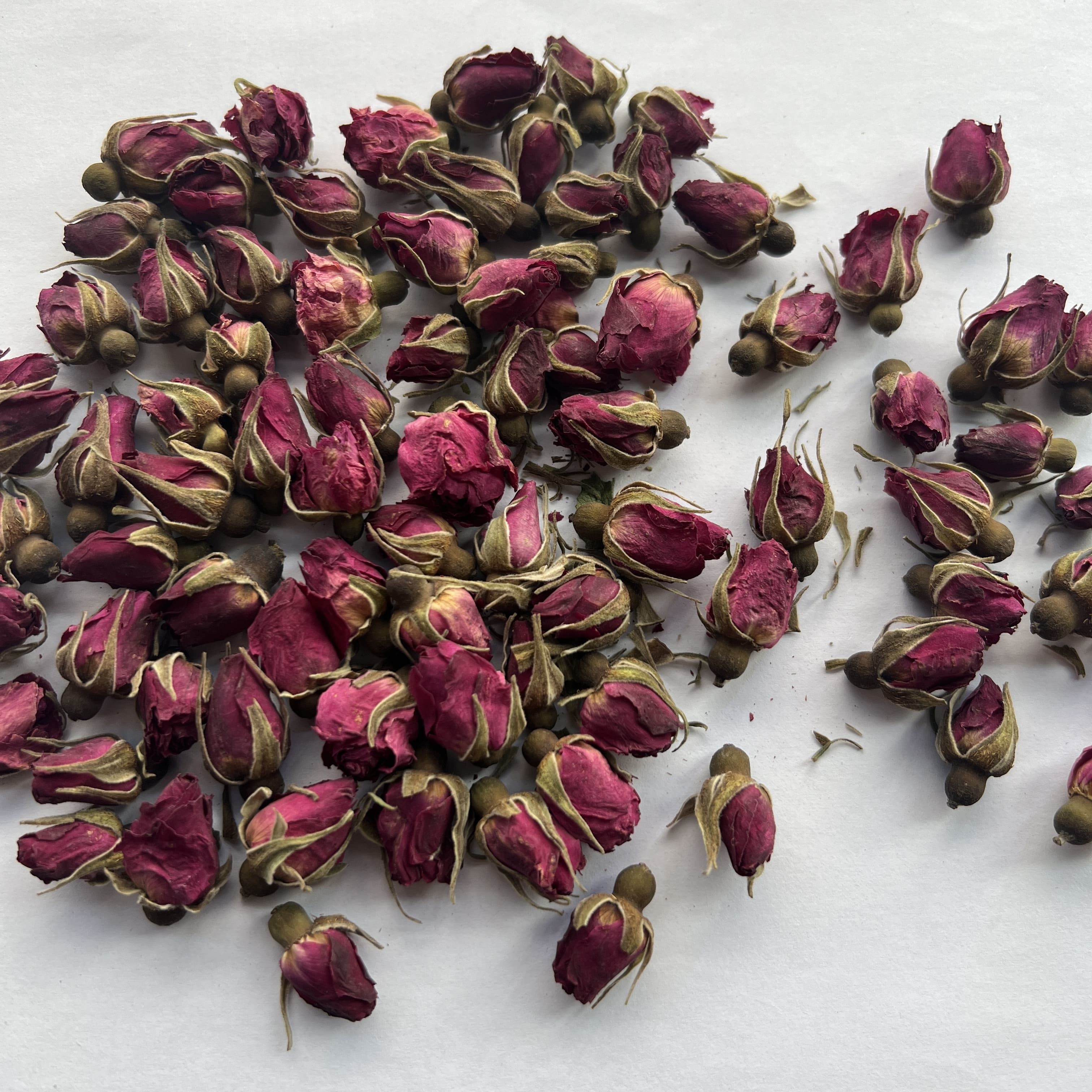 Lanzhou Rose