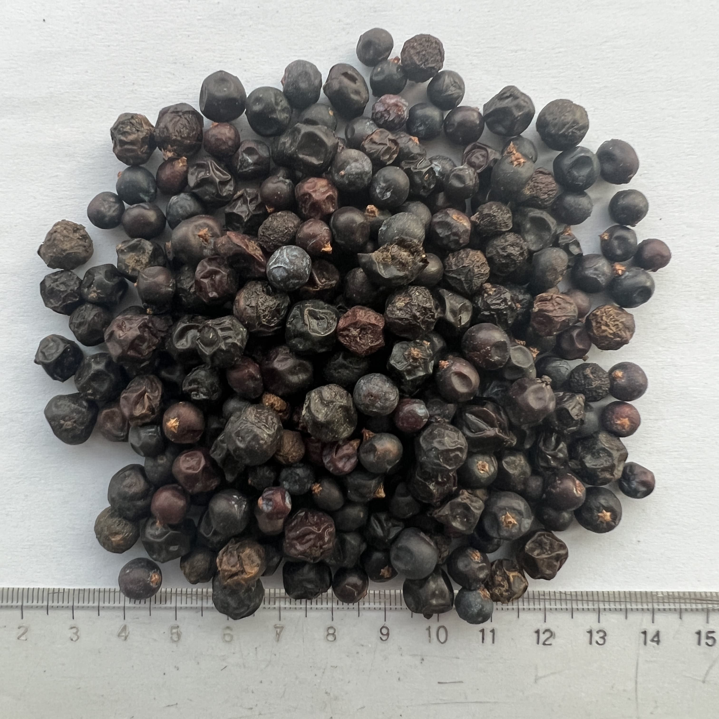 Juniper Berry