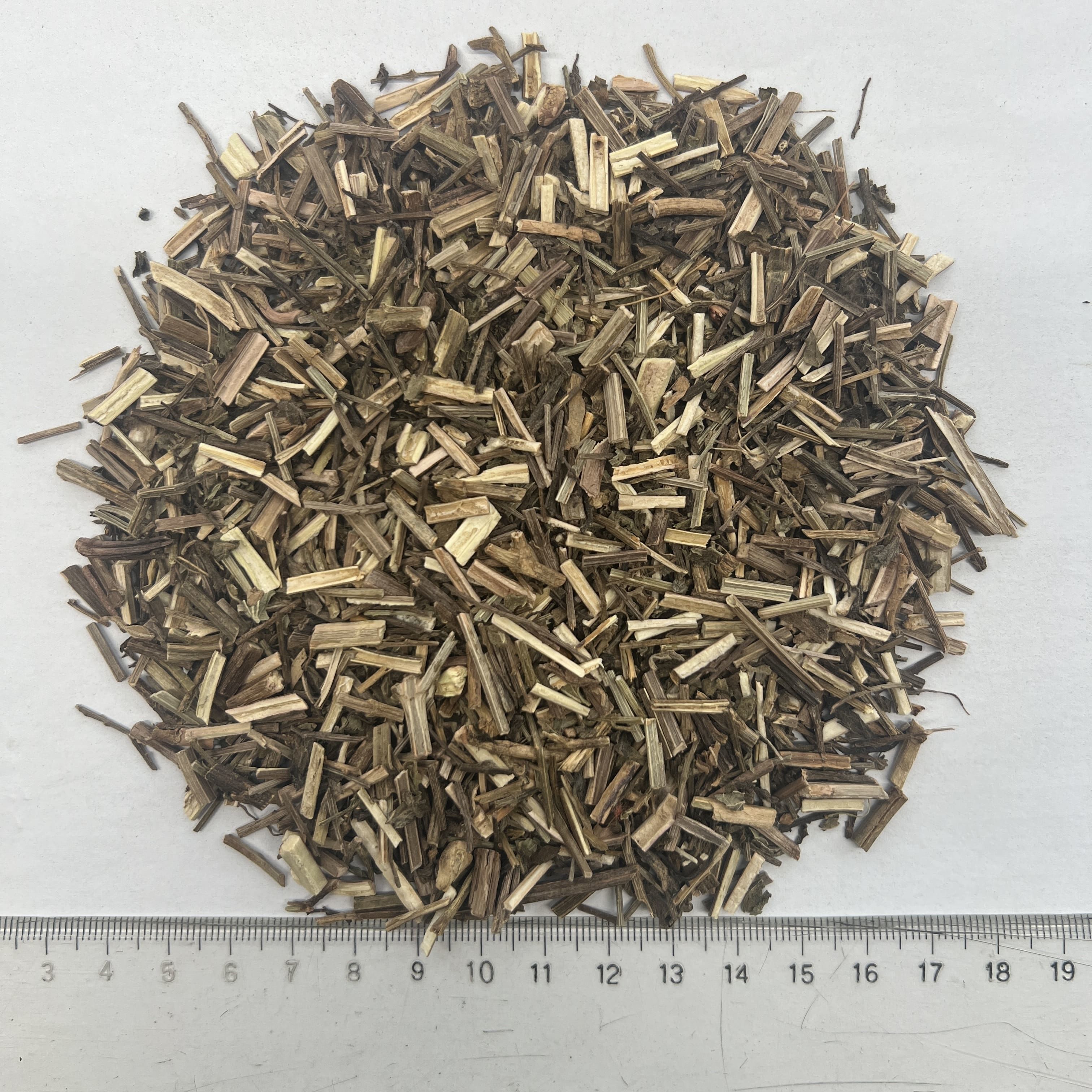 Verbena