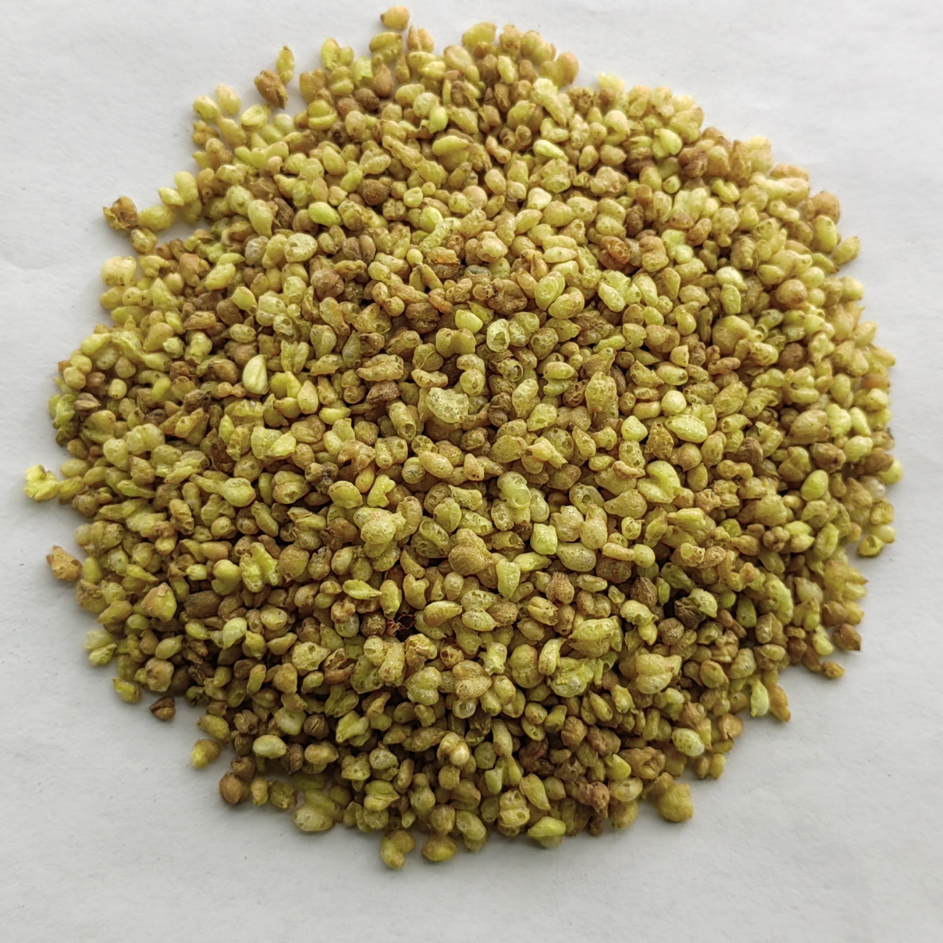 Buckwheat