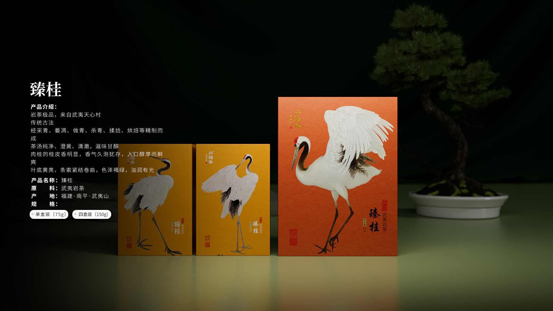 臻桂