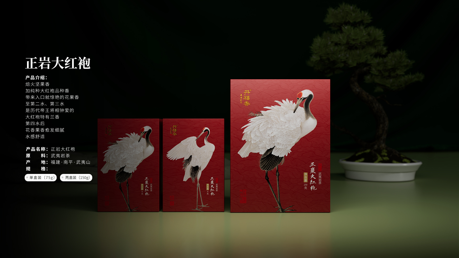 正巖大紅袍
