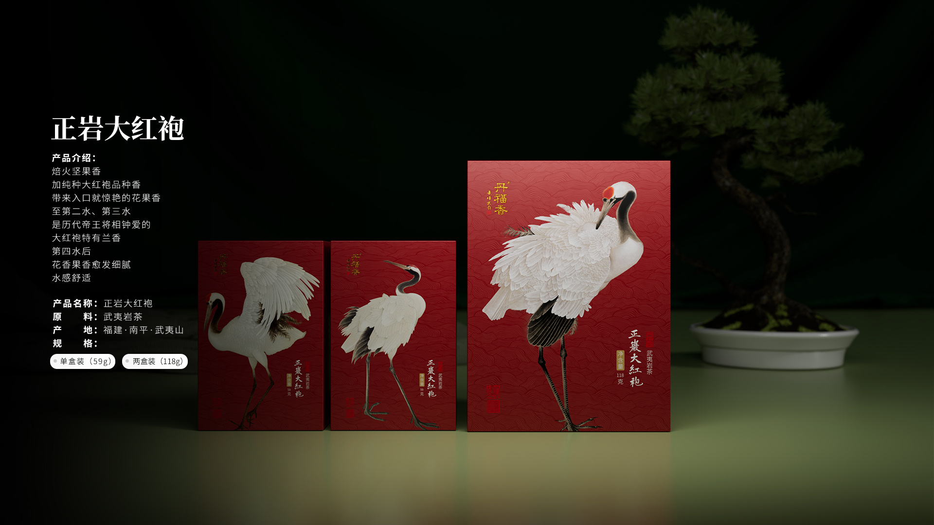 正巖大紅袍