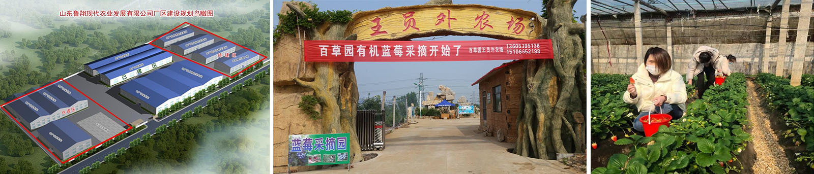 luxiang
