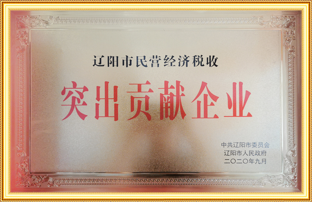 遼陽市民營經濟稅收突出貢獻企業(yè)