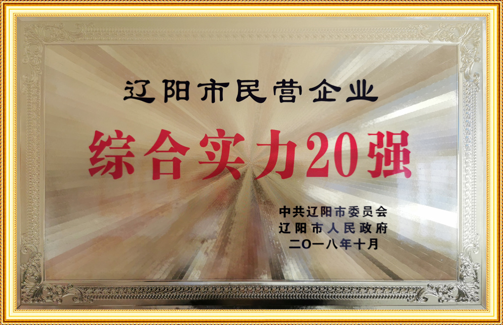 遼陽市民營企業(yè)綜合實力20強