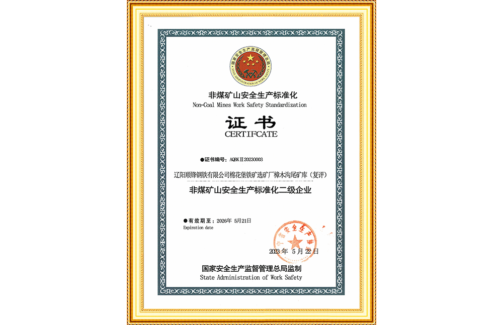 安全生產二級標準化企業(yè)