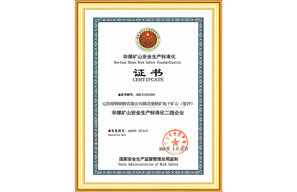安全生產二級標準化企業(yè)