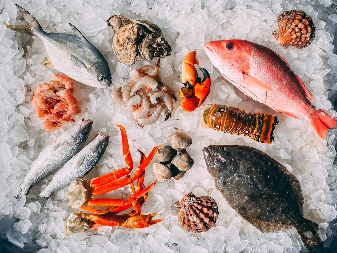 Innovative Methods to Preserve Seafood Gain Popularity as Consumers Seek Freshness and Quality