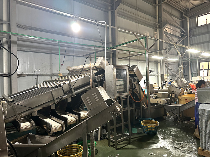Factory