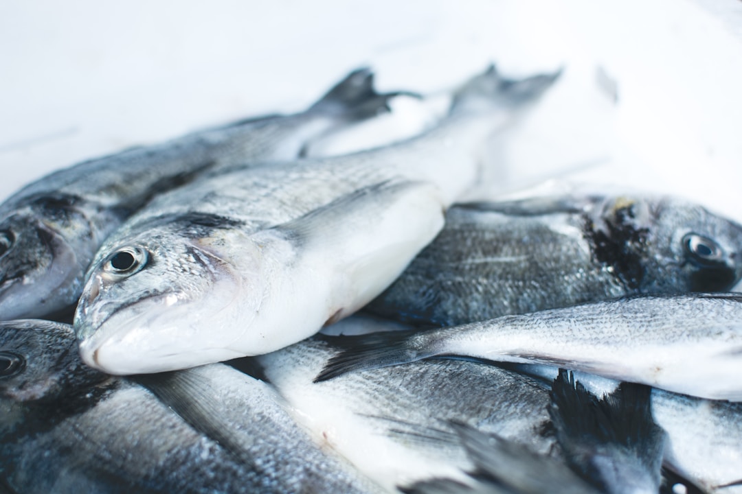 A 3-meter freezer filled with seafood? Refrigerators and freezers trigger a "preservation war"