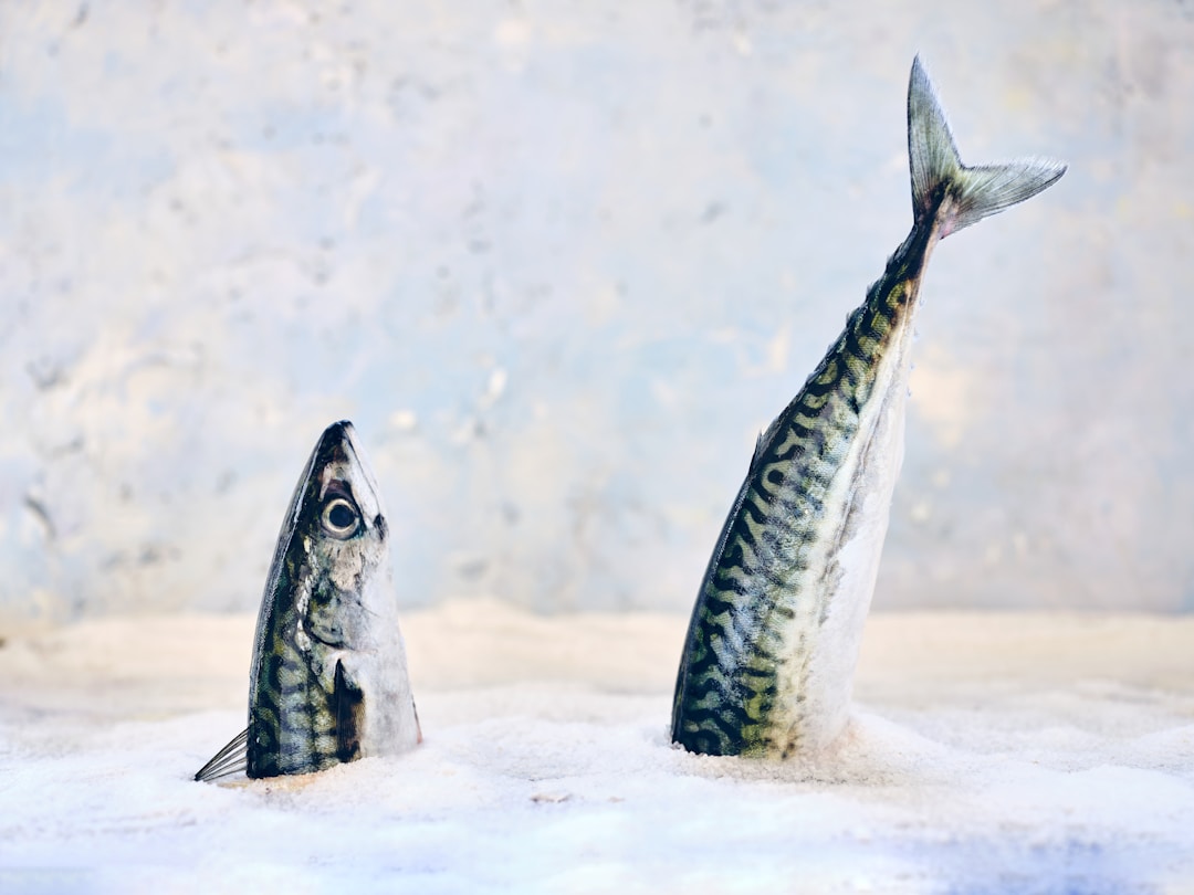 Commercial Applications of Innovative Seafood Preservation Technologies Gain Traction in Food Industry