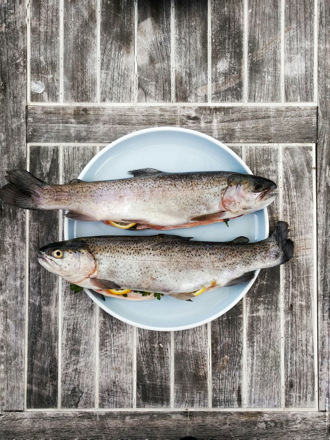 Frozen Seafood Market Booms as Consumers Seek Convenience and Quality