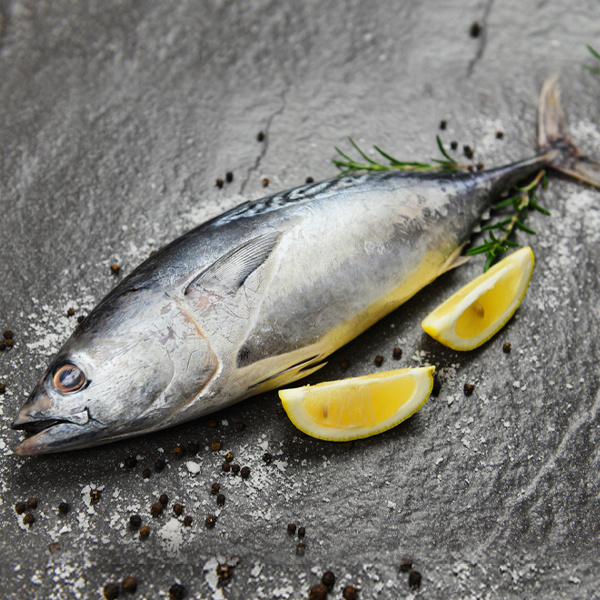 Bonito