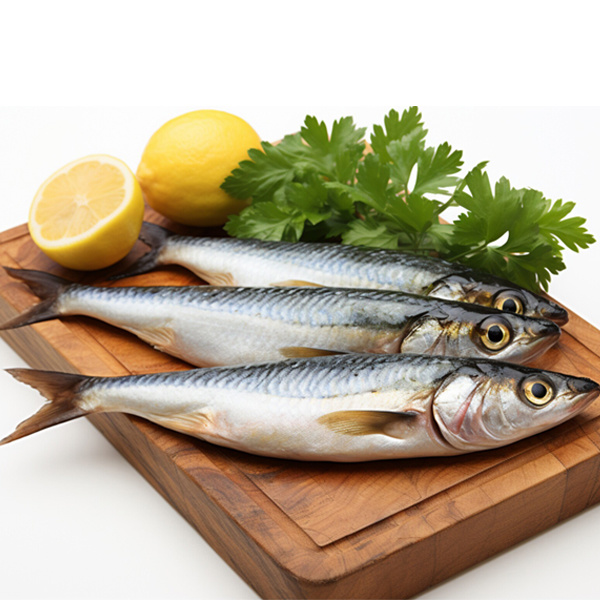 Horse Mackerel