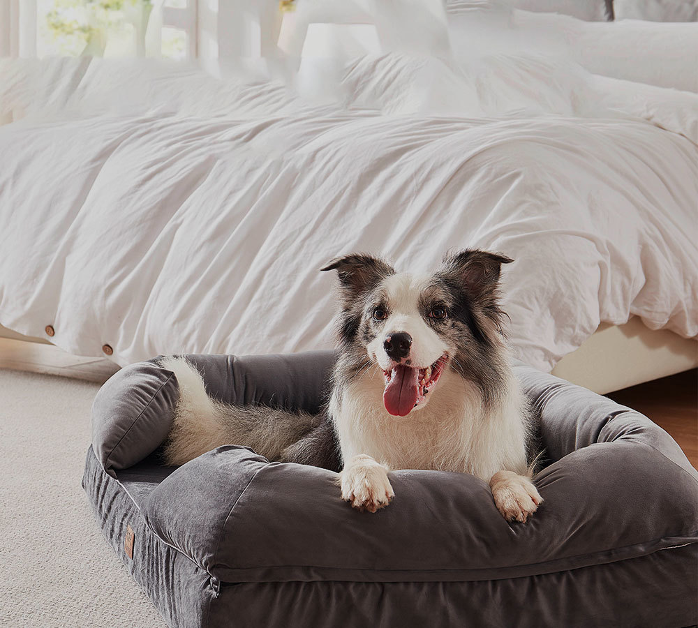Pet bed