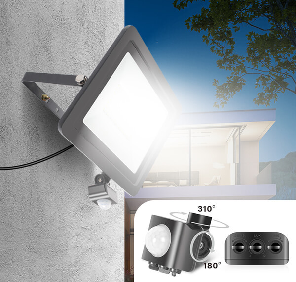 Motion Sensor Model