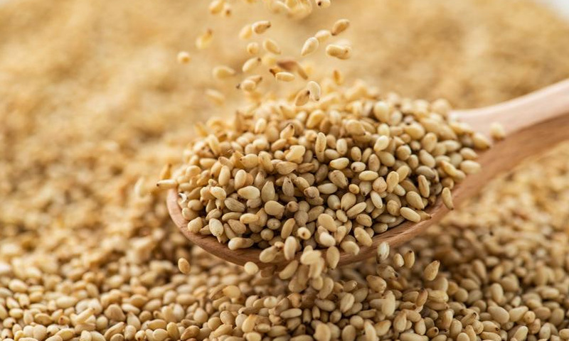 Wheat Milling Wheat Milling