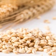 Wheat Milling
