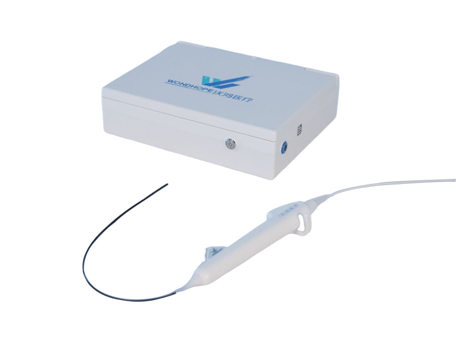 Disposable Electronic Choledochoscopy Catheter