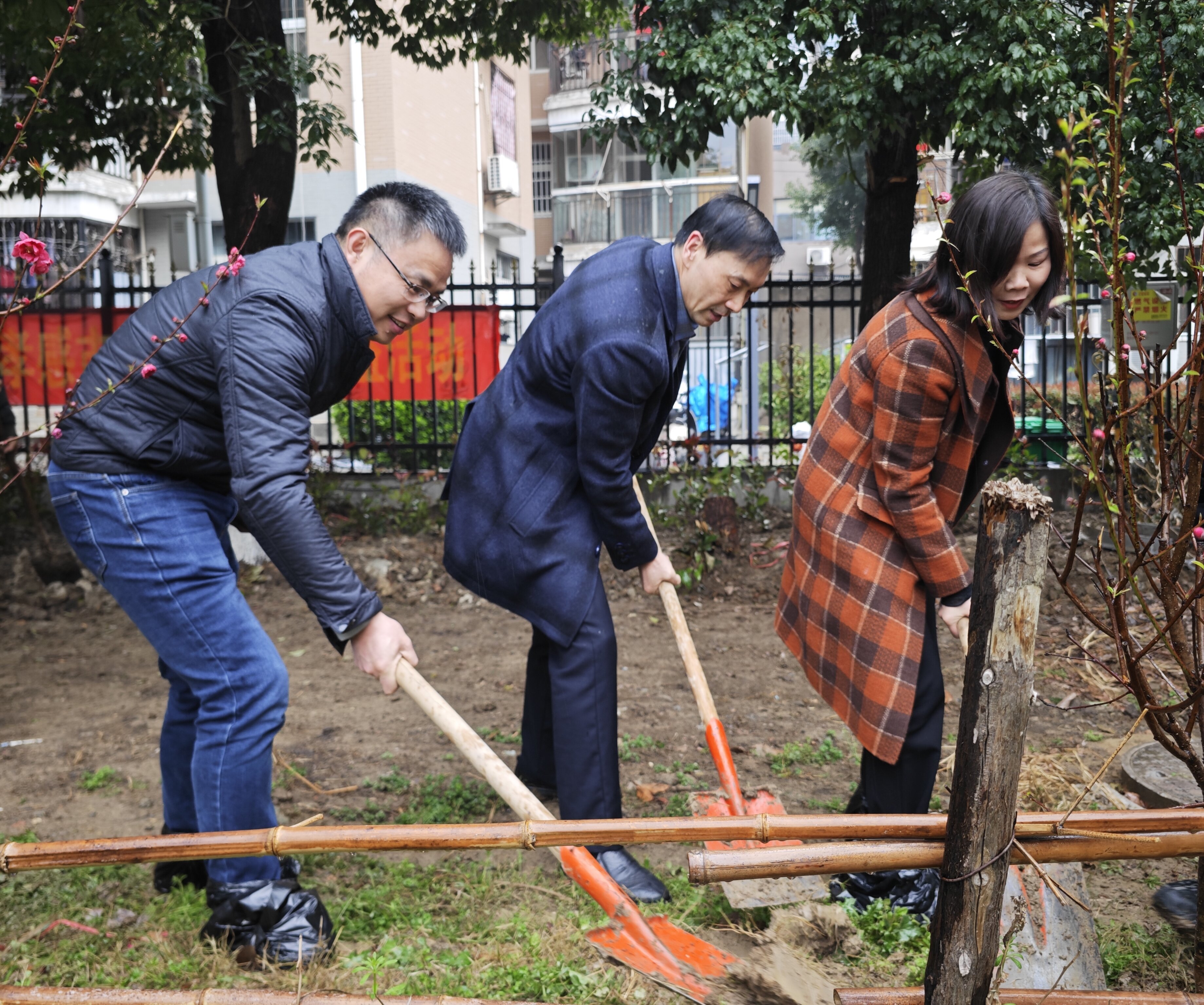 黨建引領添新綠   共建生態(tài)美家園
