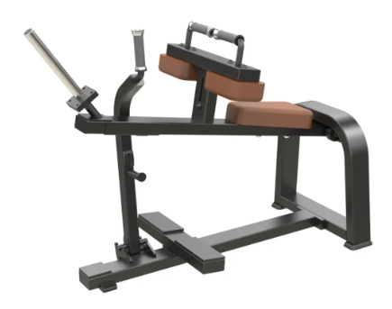 Seated Calf