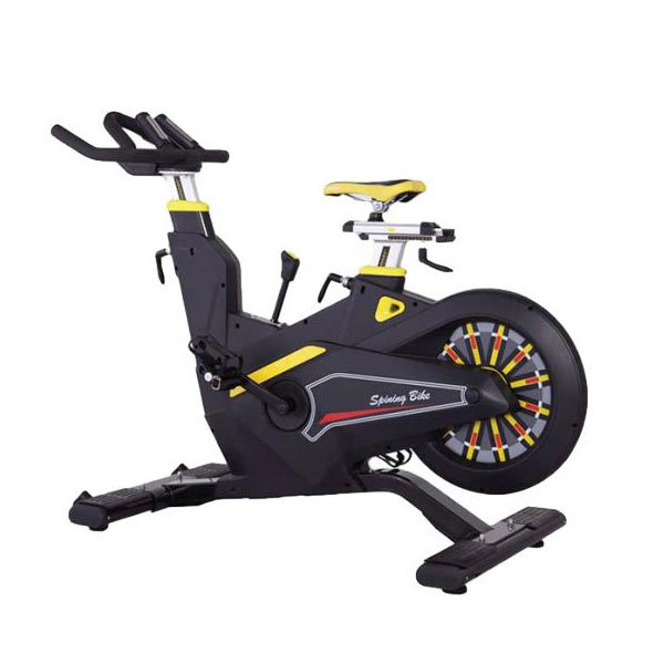 Magnetic spinning bike