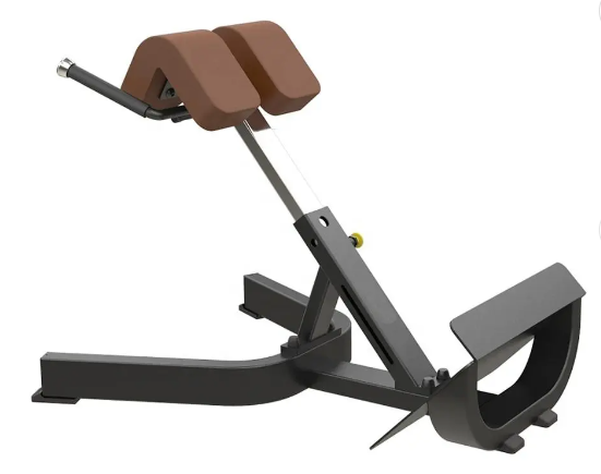 Back Extension