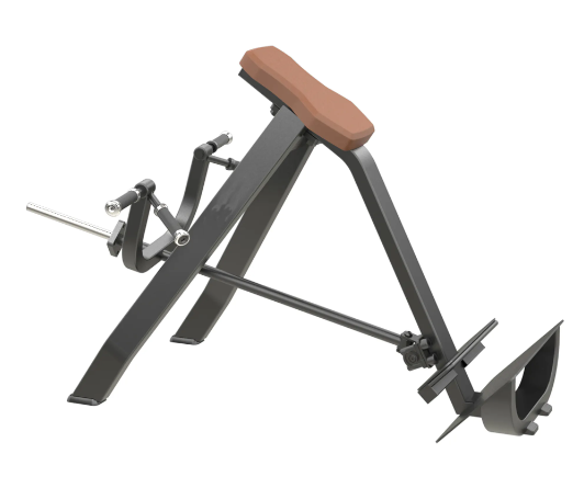 Incline Level Row