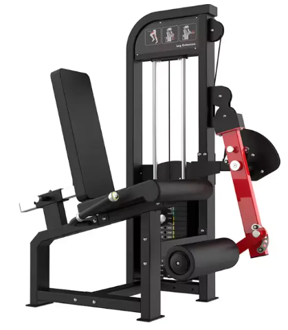 seated Leg Curl
