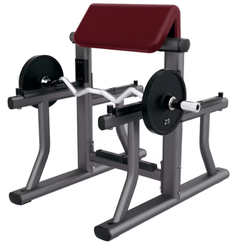 Arm Crul Bench