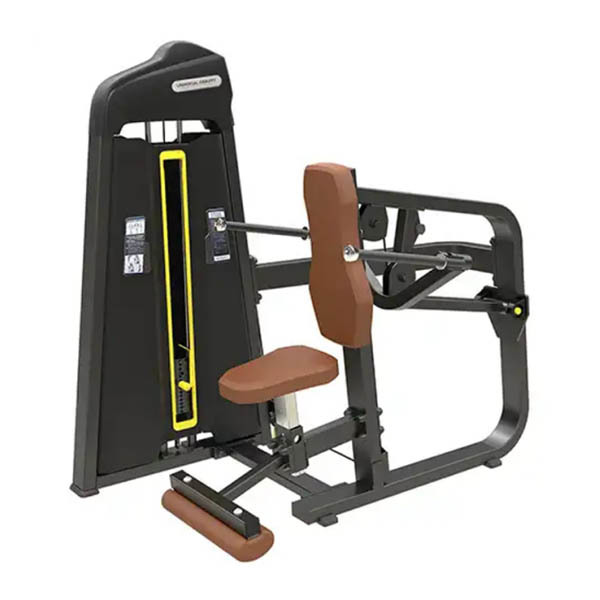 Dip de asiento