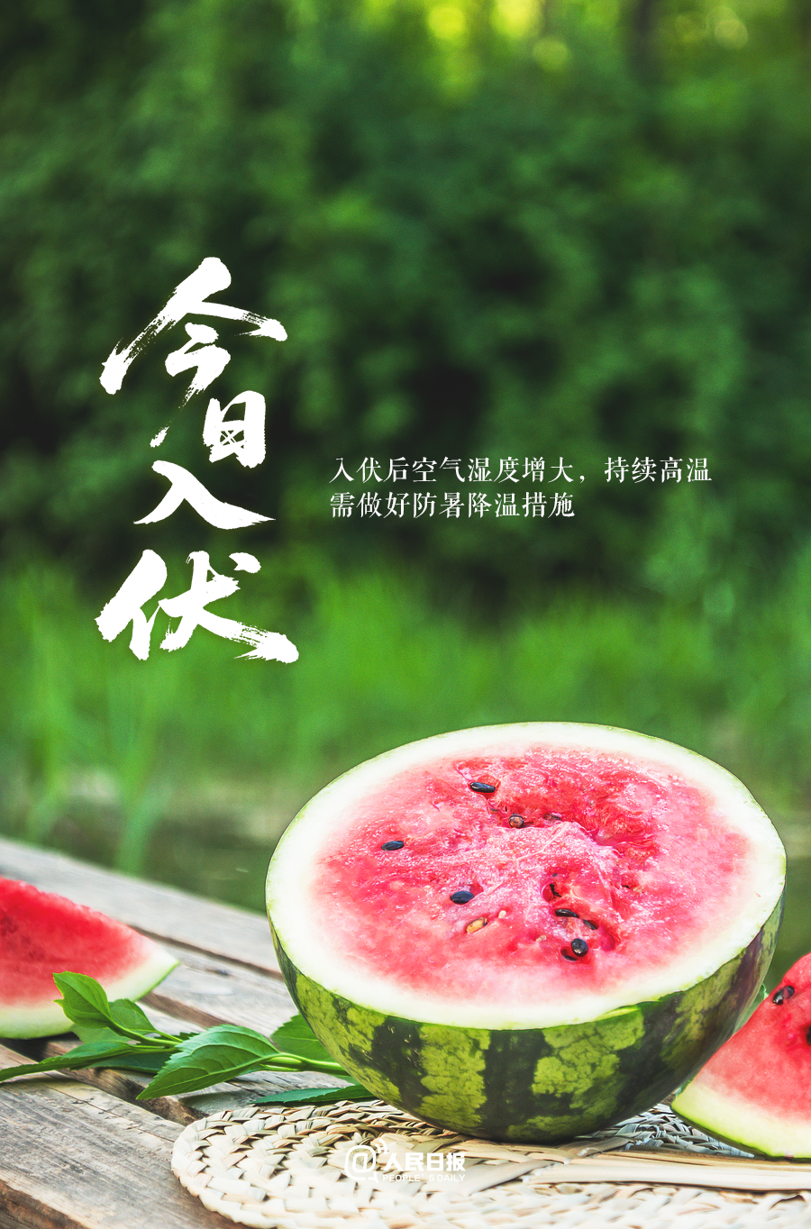 今日入伏