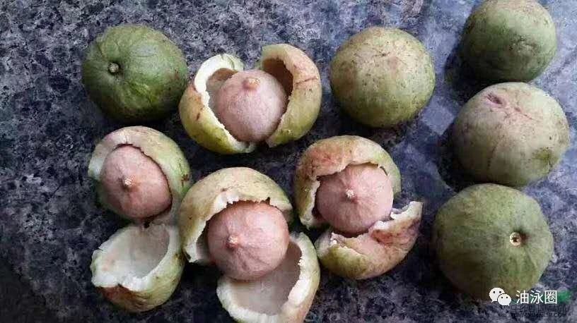 圖片