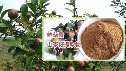 茶皂素和糖萜素在農業領域的應用有何不同？