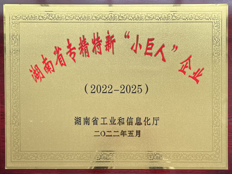 湖南省專精特新“小巨人”企業(yè)