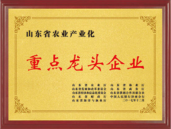 重点龙头企业 重点龙头企业