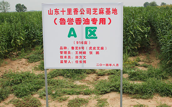管理区域 管理区域