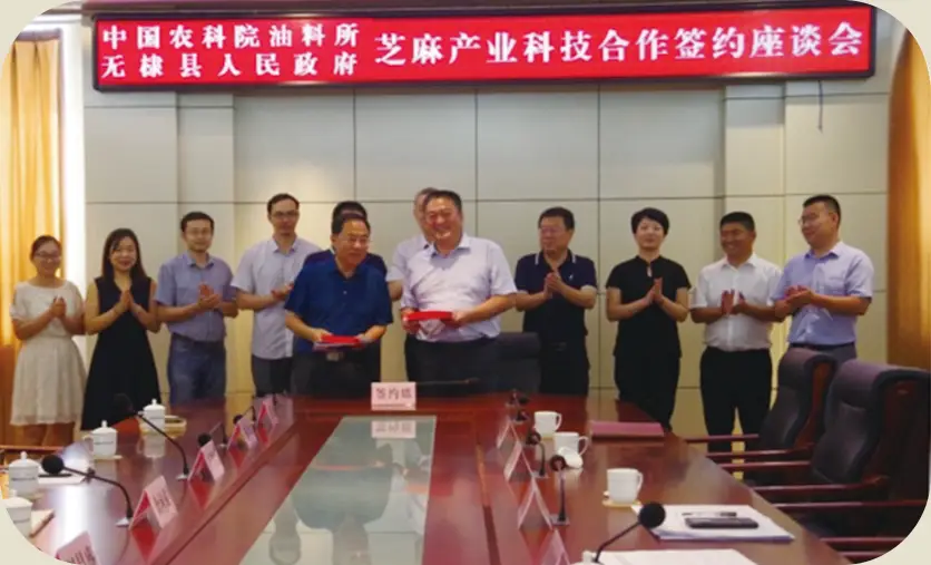 农科院油料所与县政府合作签约座谈会 农科院油料所与县政府合作签约座谈会