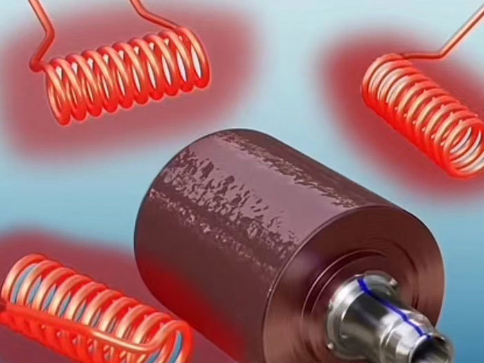 Electric vehicle carbon fiber rotor