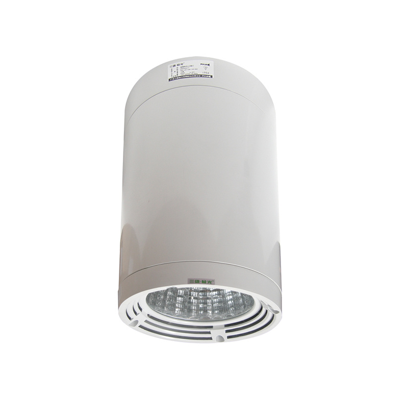 CH Series LED Surface Downlight IP65